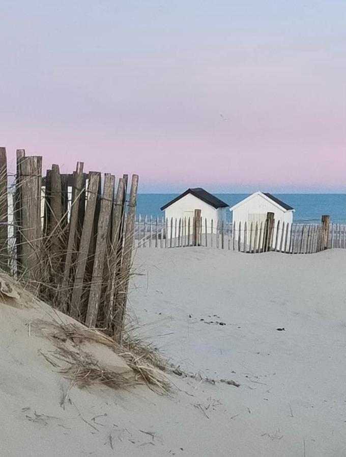 Le Presbytere Des Baraques A Bleriot-Plage - Apt 3 Sangatte Exteriör bild